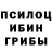Галлюциногенные грибы мицелий Daria Glasunova
