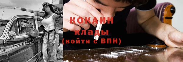 прущие грибы Абинск