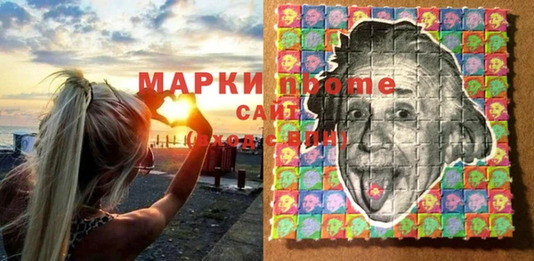 индика Алзамай