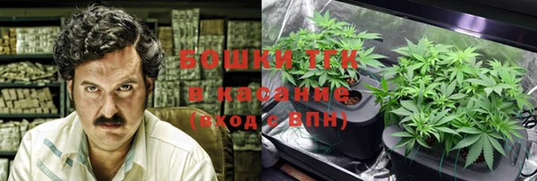 крисы Алексин