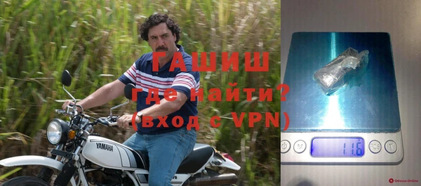 прущие грибы Абинск