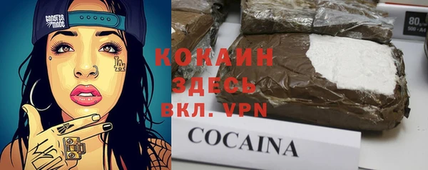 прущие грибы Абинск