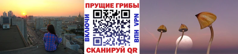 Галлюциногенные грибы мухоморы  shop телеграм  Советский  цена наркотик  omg ссылка 