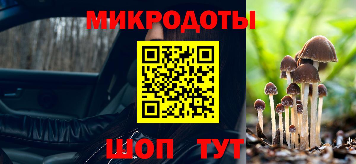 Псилоцибиновые грибы Psilocybine cubensis Советский
